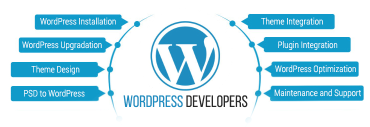 WordPress Developer